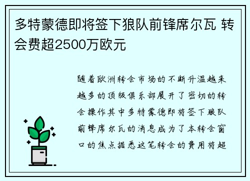 多特蒙德即将签下狼队前锋席尔瓦 转会费超2500万欧元